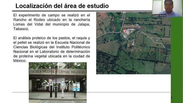 CTM070 - Suplementación de Residuos de Plátano con Pastos Mejorados para la Obtención de un Pell…