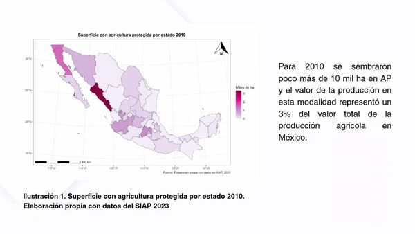 CHM077 - Panorama de la Agricultura Protegida en México