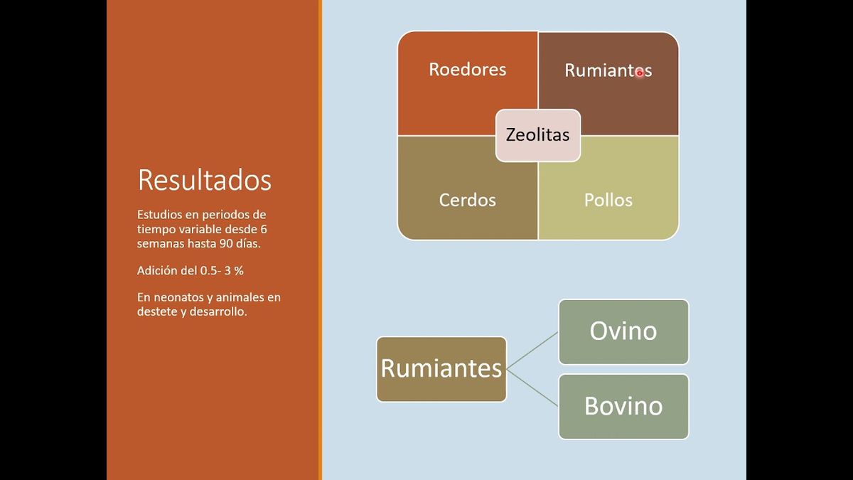 CLY268 - Breve Revisión sobre la Suplementación de Zeolita en el Ganado Bovino y Ovino