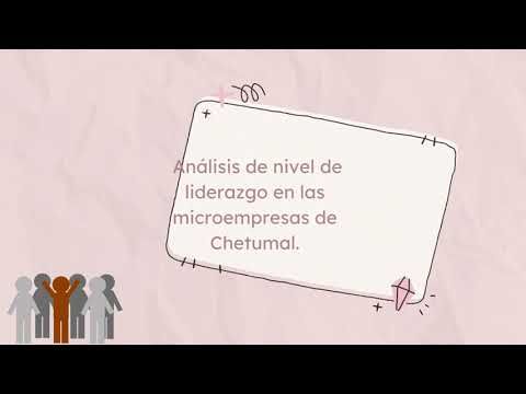 CHM164 - Análisis del nivel de Liderazgo en las Microempresas de Chetumal