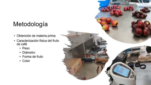 TLA093 - Evaluación de la Pectina Extraída de Residuo Húmedo de Café como Agente Gelificante e…