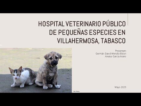 CHM032 - Hospital Veterinario Público de Pequeñas Especies en Villahermosa, Tabasco