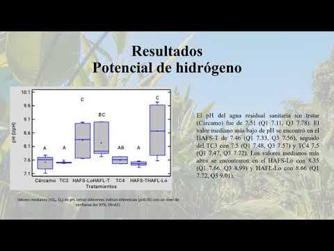 TAB027 - Ludwigia octovalvis en la Remoción de Color y Turbiedad en Humedales Artificiales