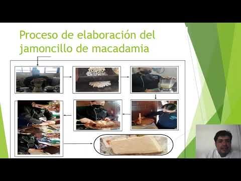 PBL074 - Elaboración de Jamoncillo a Base de Nuez de Macadamia Cultivada en Xicotepec de Juárez,…