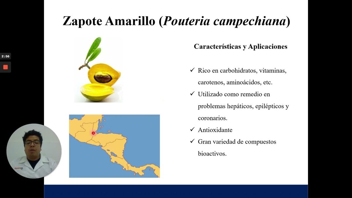 ITP135 - Síntesis, Caracterización y Actividad Antimicrobiana de Nanopartículas de Plata Sintet…