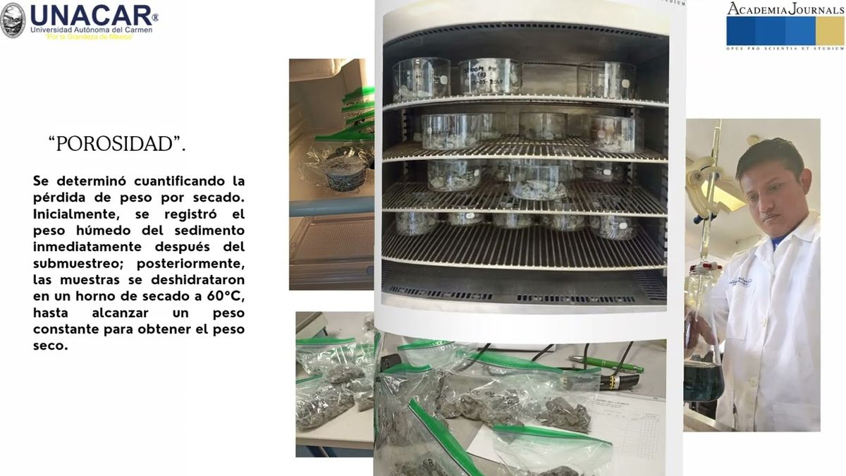 CIP001- Variación vertical de la materia orgánica en sedimentos de la Laguna de San Carlos, siste…