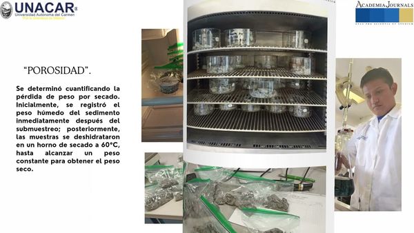 CIP001- Variación vertical de la materia orgánica en sedimentos de la Laguna de San Carlos, siste…