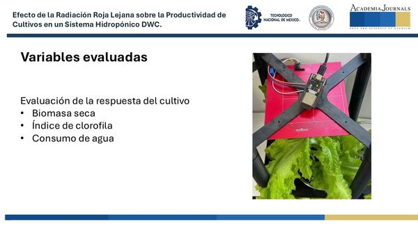 ITG071- Efecto de la Radiación Roja Lejana sobre la Productividad de Cultivos en un Sistema Hidrop…