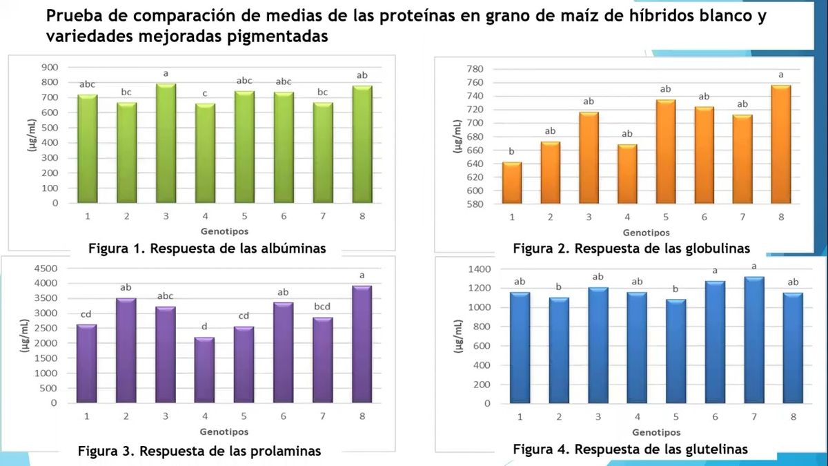 MLA203 - Comparación de Tipo y Contenido de Proteínas en Maíces Pigmentados vs Híbridos Blancos