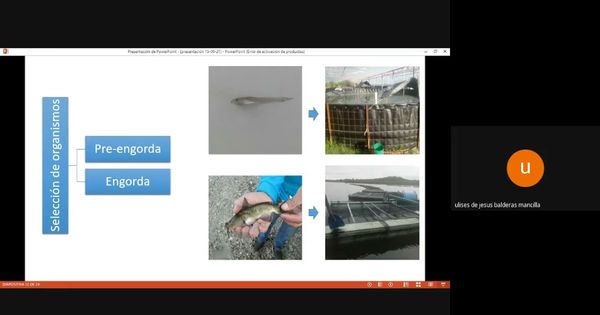 PUE192 - Análisis de Peligros y Control de Puntos Críticos en el Proceso de Producción Comercial…
