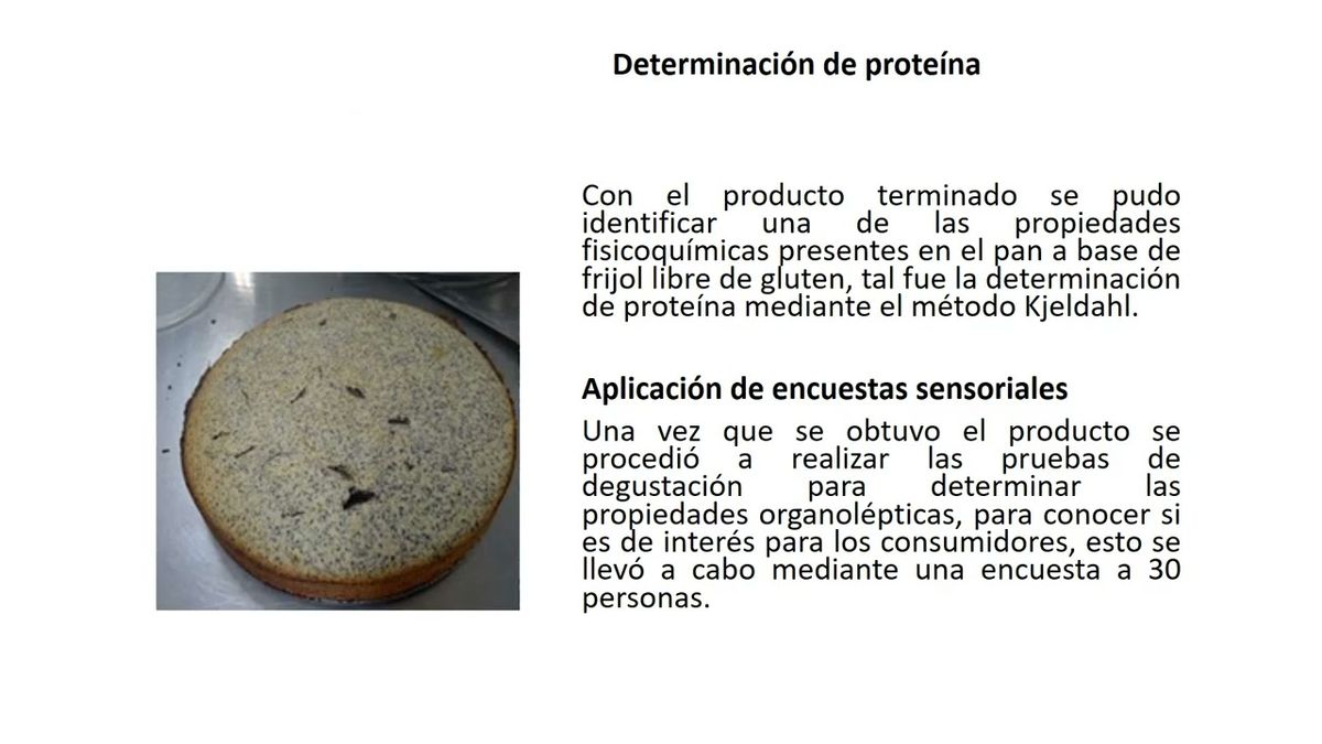 MEX024 - Aprovechamiento de la Cadena de Valor Frijol para la Elaboración de Subproductos