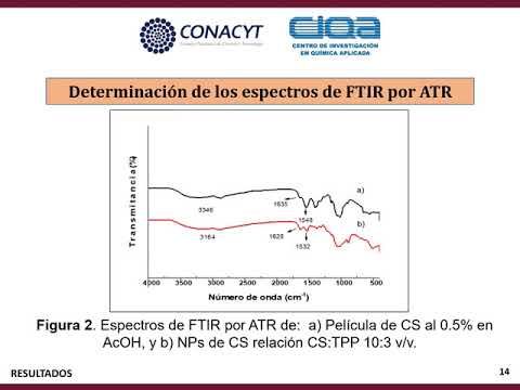 T049 - SÍNTESIS DE NANOPARTÍCULAS DE QUITOSÁN Y SU EFECTO EN LOS COMPUESTOS FENÓLICOS DE GERMIN…