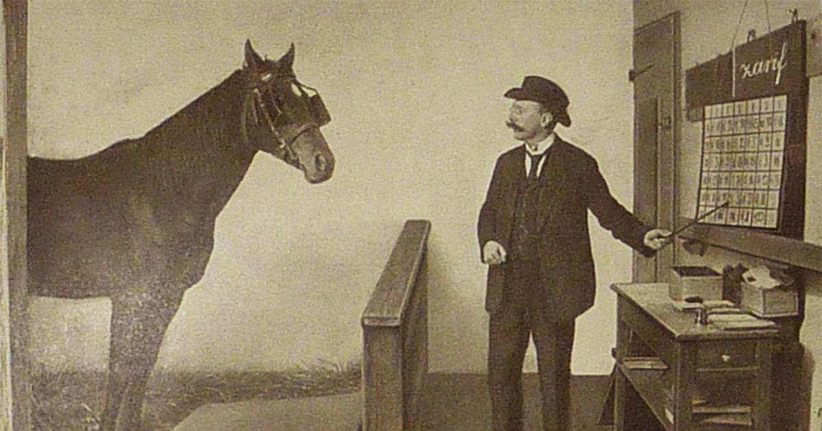 ¿Un caballo que resolvía operaciones matemáticas? El caso que desafió a la ciencia en el siglo …