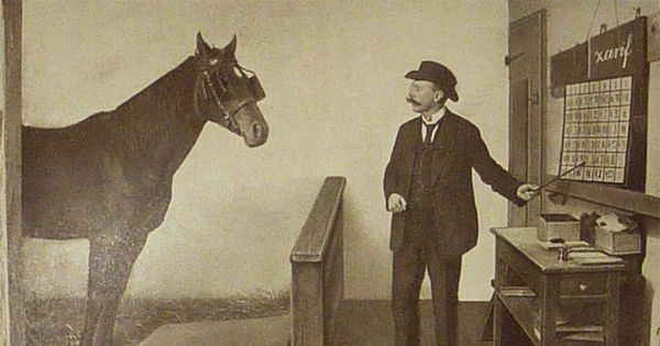 ¿Un caballo que resolvía operaciones matemáticas? El caso que desafió a la ciencia en el siglo …