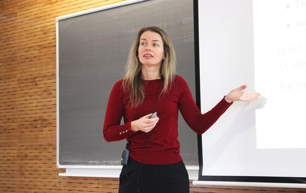 El lado salvaje de las estructuras matemáticas - ICMAT