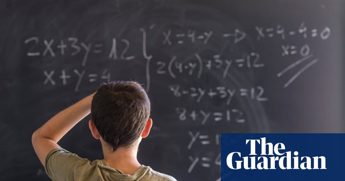 Studying maths beyond GCSEs helps brain development, say scientists | Mathematics | The Guardian