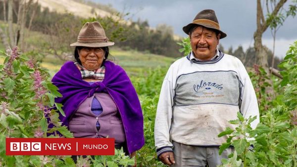 7 cosas que la ciencia “descubrió” siglos después que los pueblos indígenas - BBC News Mundo