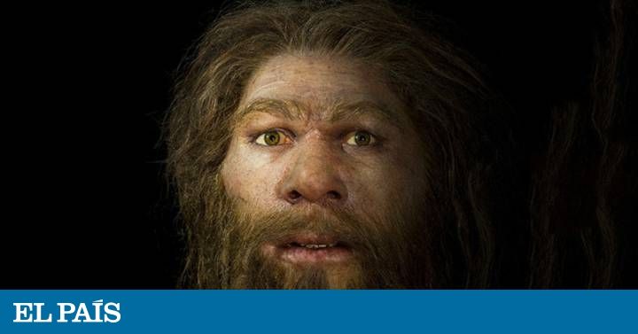 Matemáticas para descifrar la evolución de las especies | Ciencia | EL PAÍS