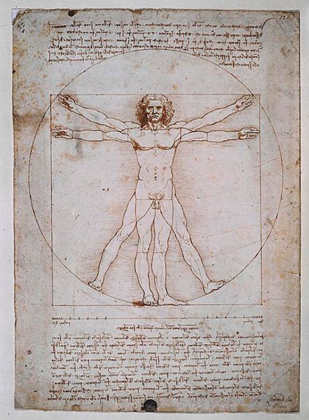 The Mathematics of Beauty - Ideas | Institute for Advanced Study