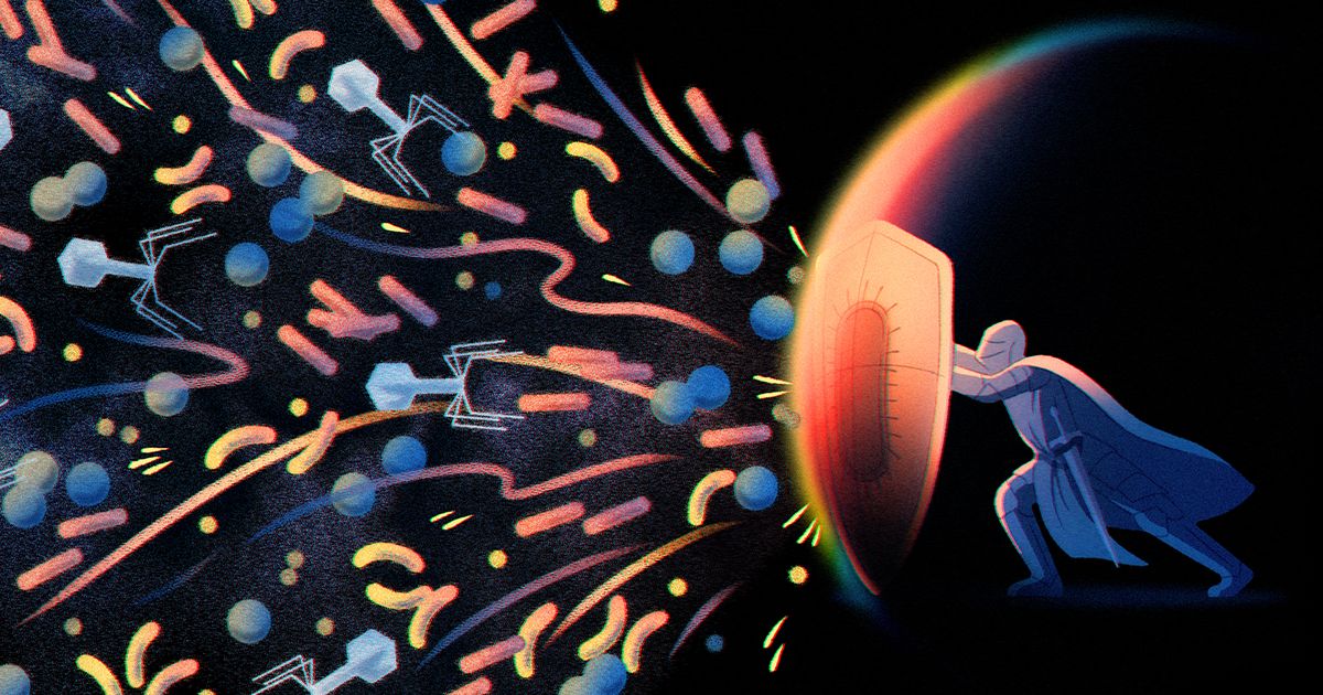 The Ancient Weapons Active in Your Immune System Today | Quanta Magazine