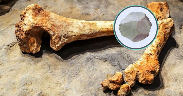 La geometría en la prehistoria: ¿Sabías que los homínidos usaban esferoides de piedra para obte…