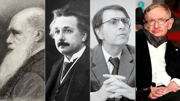 Einstein, Darwin, Sagan, Hawking: los libros científicos también tienen su canon | Cultura | EL P…