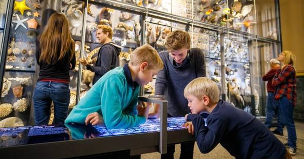 Cinco museos de ciencia alrededor del mundo para visitar al menos una vez en la vida - Infobae