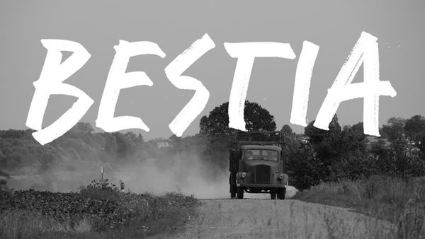 Bestia (Beast), reż. Iwona Pasińśka