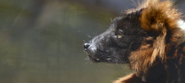 Philosophy for Designers. A couple of years ago I gave a talk at… | by Erika Hall | Mule Design S…