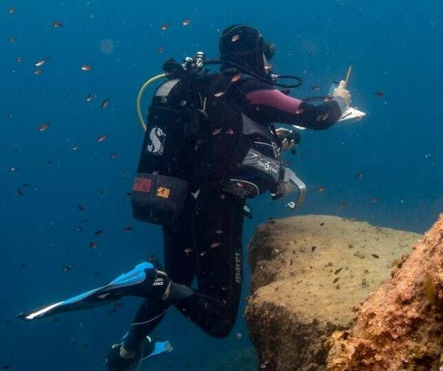 Poissons, herbiers de Posidonie, grandes nacres...: le point sur 6 suivis scientifiques menés dans…