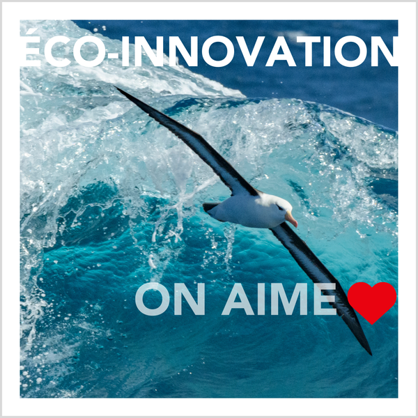 Éco-innovation