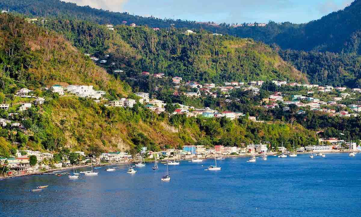 Une petite île caribéenne a créé la première zone de protection marine au monde pour les cacha…