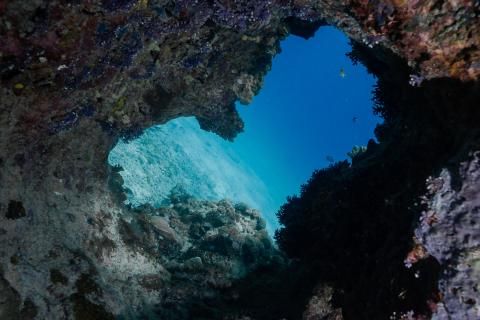 Des récifs loin des hommes |Parc naturel marin Mayotte