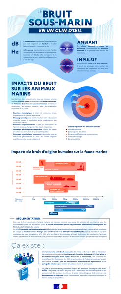 Impacts bruits sous-marins