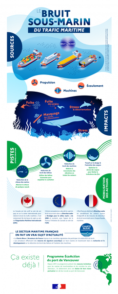 Impacts bruits sous-marins