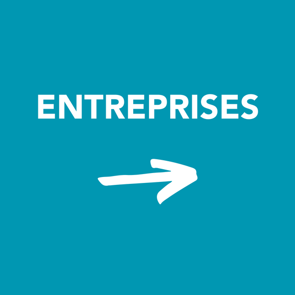 Les entreprises
