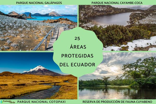 25 aires protégées de l'Équateur - Noms et photos