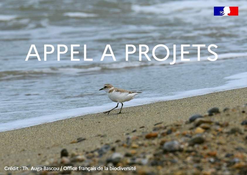 - L'APPEL A PROJETS... - Parc naturel marin du golfe du Lion | Facebook