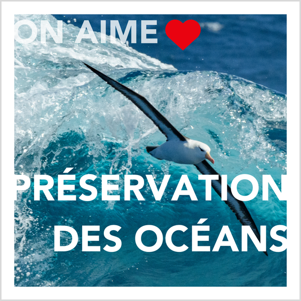 Préservation des océans