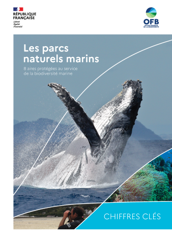 Les parcs marins en chiffres clefs |Parc naturel marin Iroise