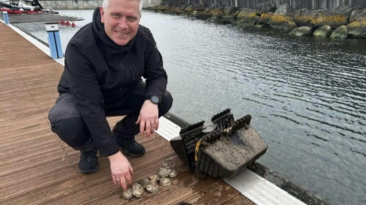 REPORTAGE. Lutte contre la pollution, protection de la biodiversité : l'Irlande tente d'utiliser l…