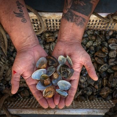 Comment résoudre le problème des espèces invasives à travers le monde ? | National Geographic