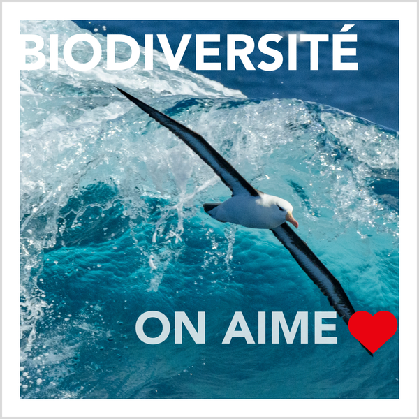 Biodiversité