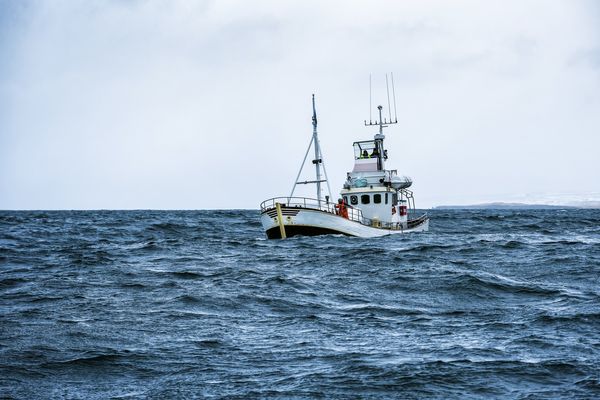 Infographie : le chalut de fond, une technique de pêche menaçant les océans et le climat