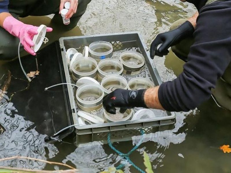 Lancement de l’appel à projets « Biosurveillance des milieux aquatiques et rejets aqueux »