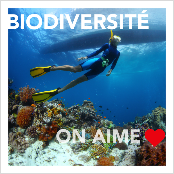 Biodiversité