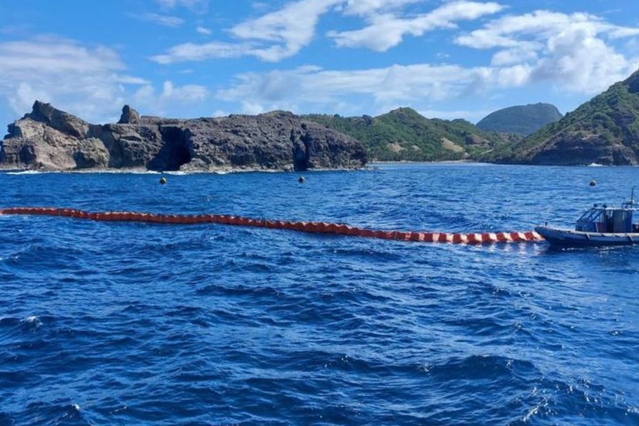 Les barrages déviants sont importants pour protéger la mangrove - Guadeloupe la 1ère