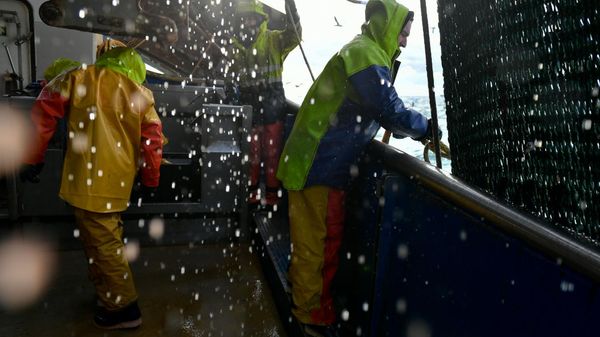 Les pêcheurs de la région « menacés » par un nouveau règlement britannique - Courrier picard