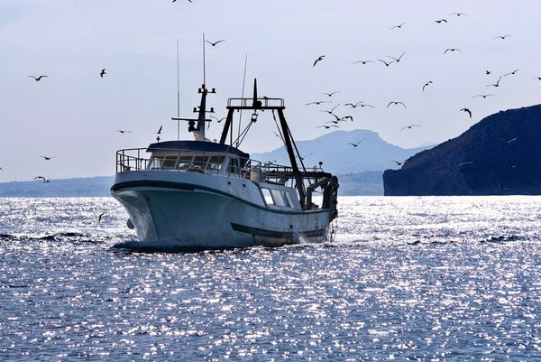 Europe - Horizon Europe pour la biodiversité marine