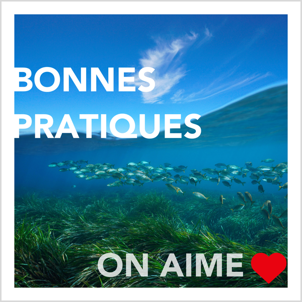 Bonnes pratiques